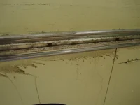 11.webp
