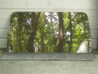 6.webp