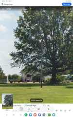 Screenshot_20241003_142609_Samsung Internet.webp