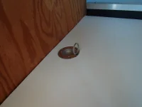 DSCF0003.webp