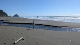 1780545519831.webp