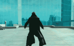 IMG_7952.gif