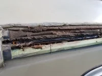 20200504_173901 small.webp