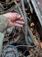 Rodent chewed wires.webp