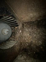 Airbox & Blower Poop.webp