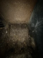 Air Box Poop 3.webp