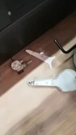 Leaking toilet valve R Forum.webp