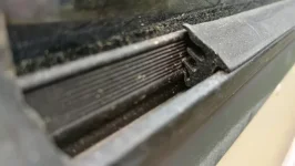 Large Seal outside R. Forum.webp