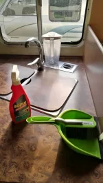 Cleaning 2 R. Forum.jpg