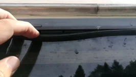 Seal outside R. Forum.webp