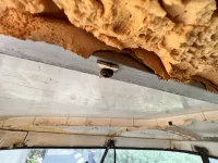 79FC38FA-1B4D-425A-B7C4-39B1FD68A2D8.webp 79FC38FA-1B4D-425A-B7C4-39B1FD68A2D8.webp