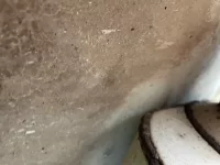 IMG_4900.webp IMG_4900.webp