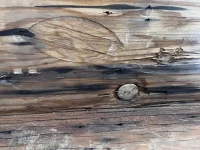 IMG_4765.jpeg