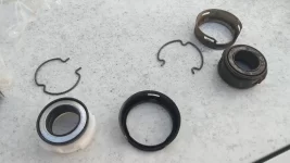 20231002_172736.webp 20231002_172736.webp