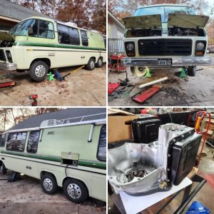 Minty 77