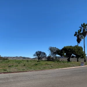 Rest stop Views