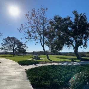 Rest stop Views 2