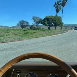 Rest stop Views Steering Wheel