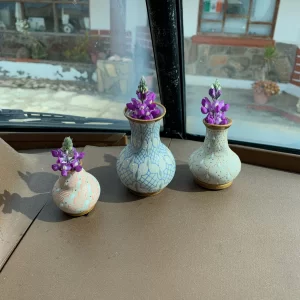 Souvenirs