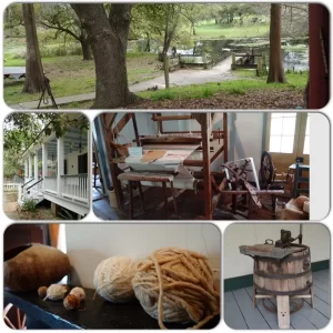 _Voorjaar 2019 0406.JPG