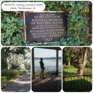 _Voorjaar 2019 0622.JPG