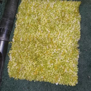 Palm Beach carpet swatch
