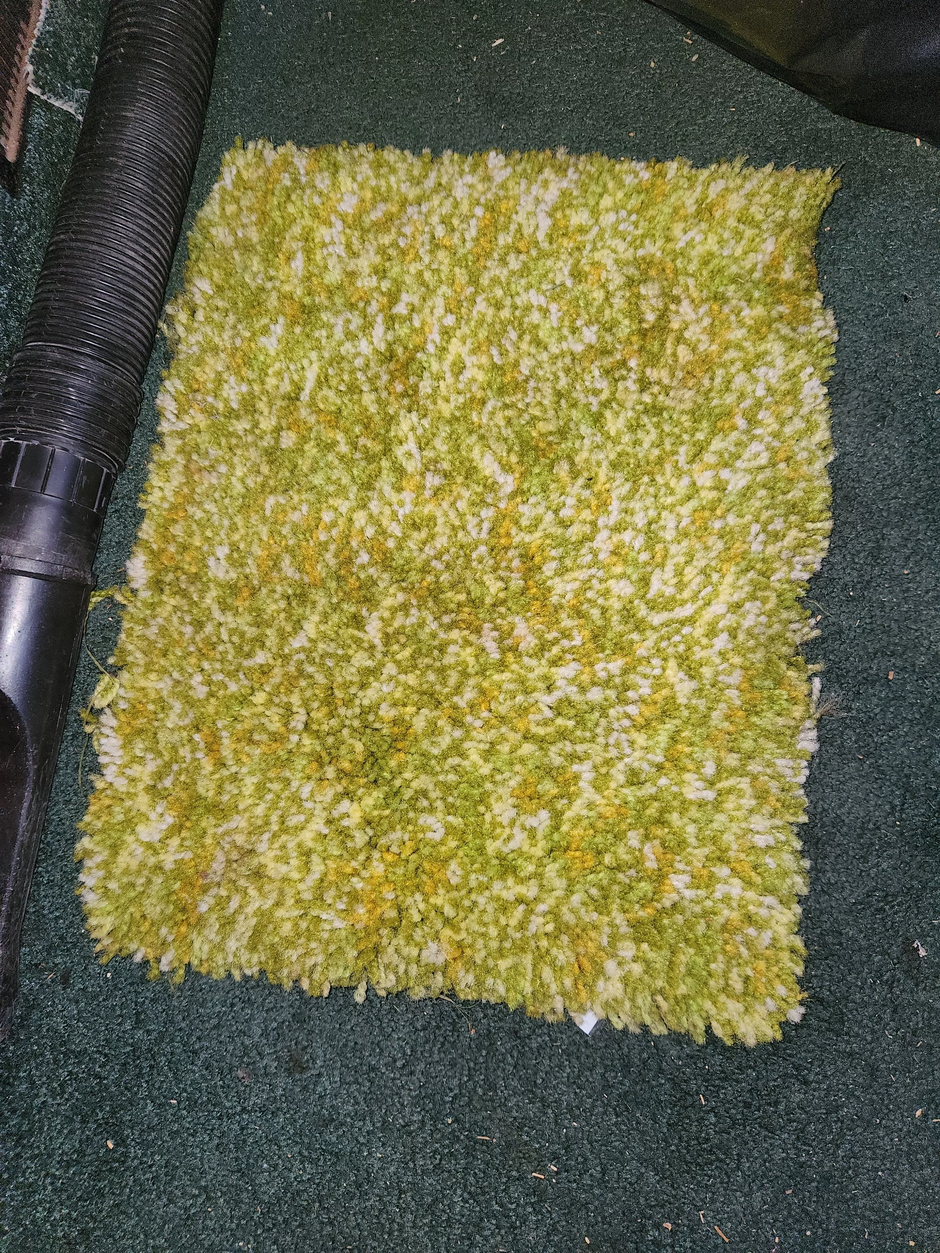 Palm Beach carpet swatch
